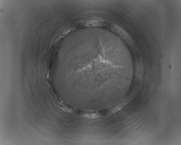 X0000081390169200702020304