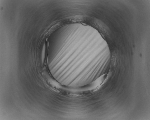 X0000081390170200702020304