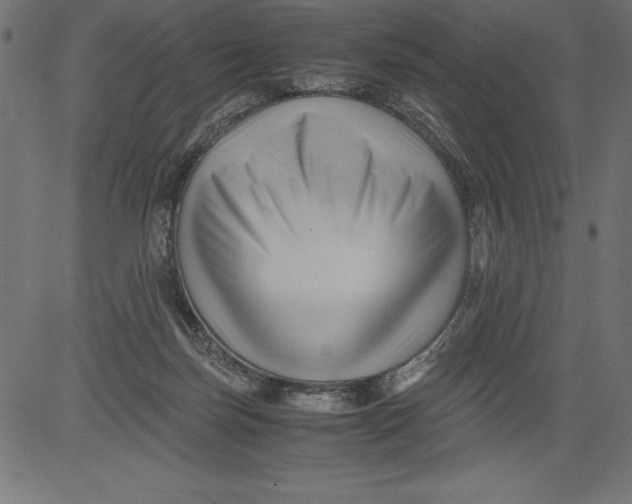 X0000081390171200702020304