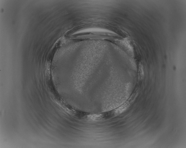 X0000081390172200702020304