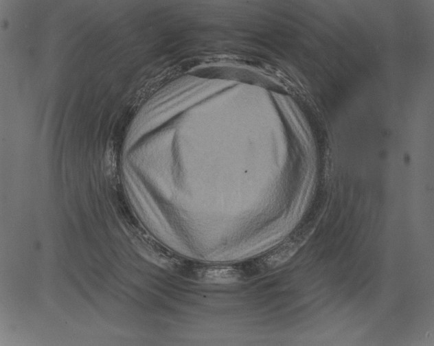 X0000081390173200702020304