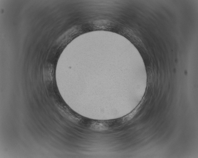 X0000081390174200702020304