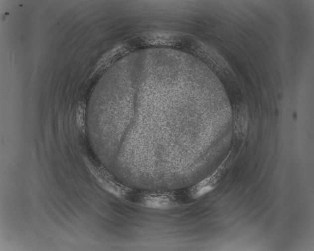 X0000081390175200702020304