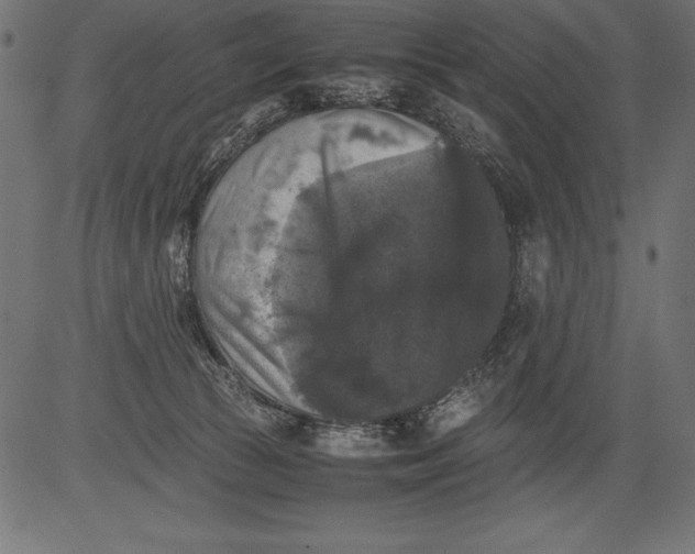 X0000081390177200702020304