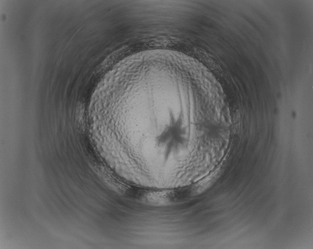 X0000081390178200702020304