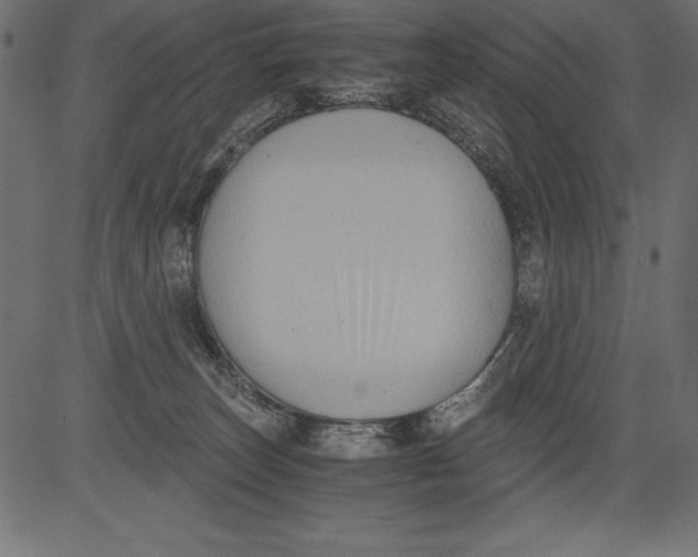 X0000081390179200702020304