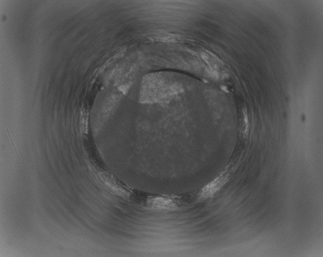 X0000081390180200702020304