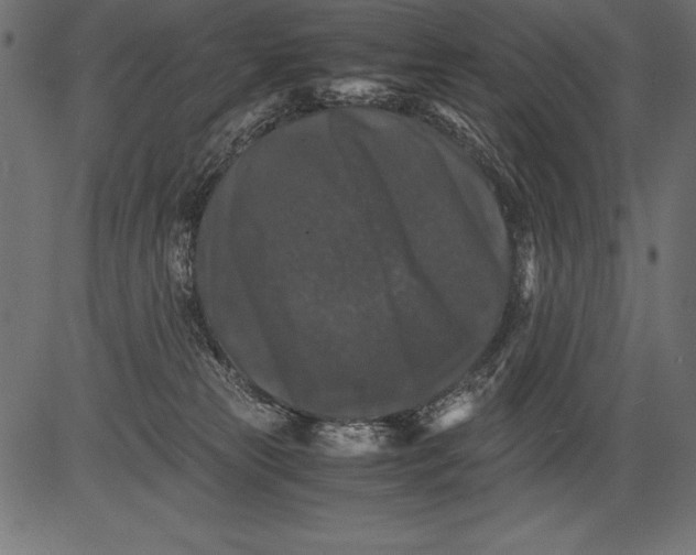 X0000081390181200702020304