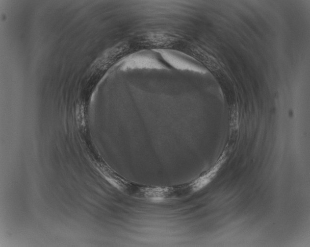 X0000081390182200702020304