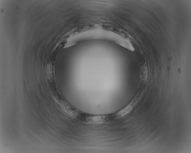 X0000081390184200702020304