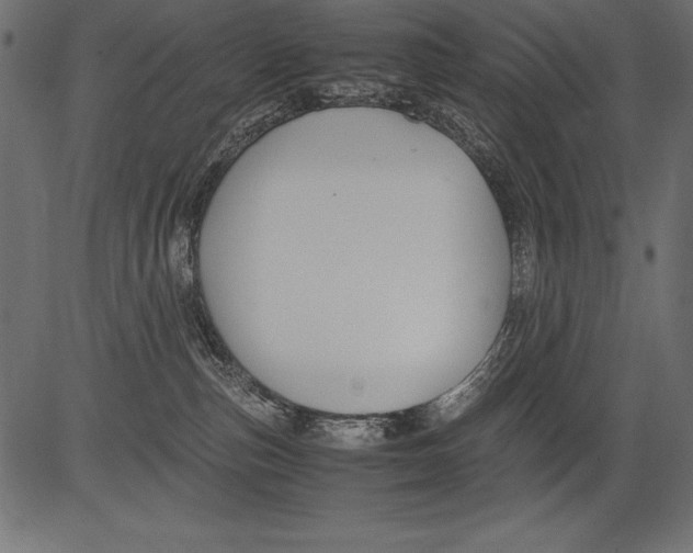 X0000081390187200702020304