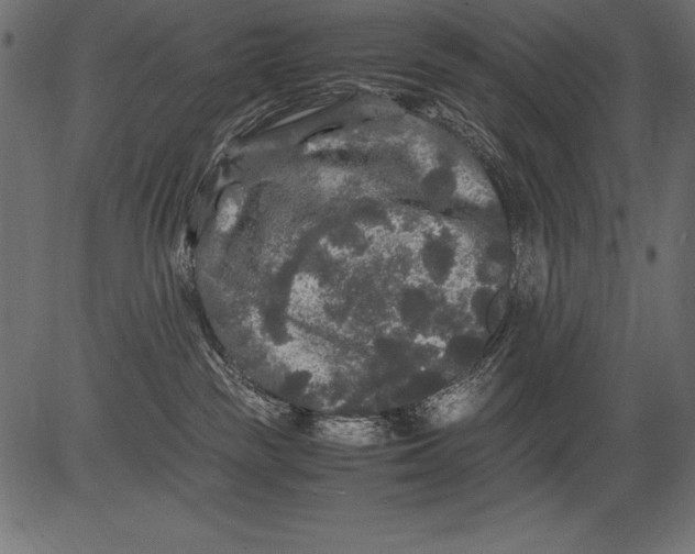 X0000081390189200702020304