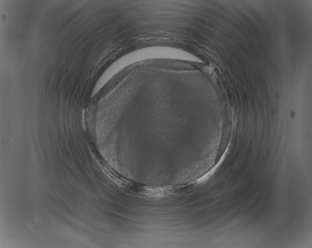 X0000081390190200702020305