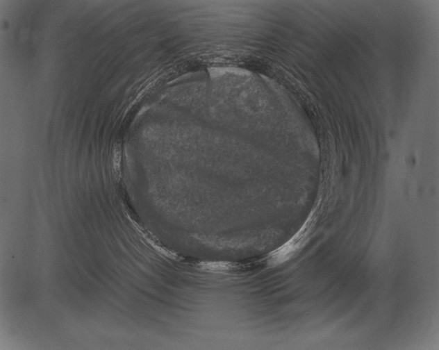 X0000081390192200702020305