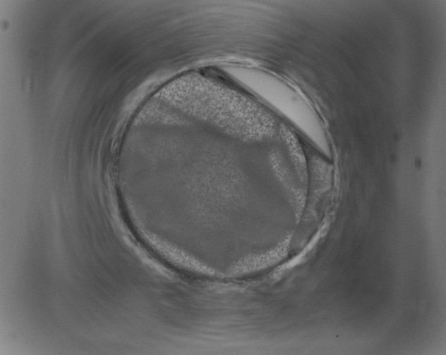 X0000081390193200702020304