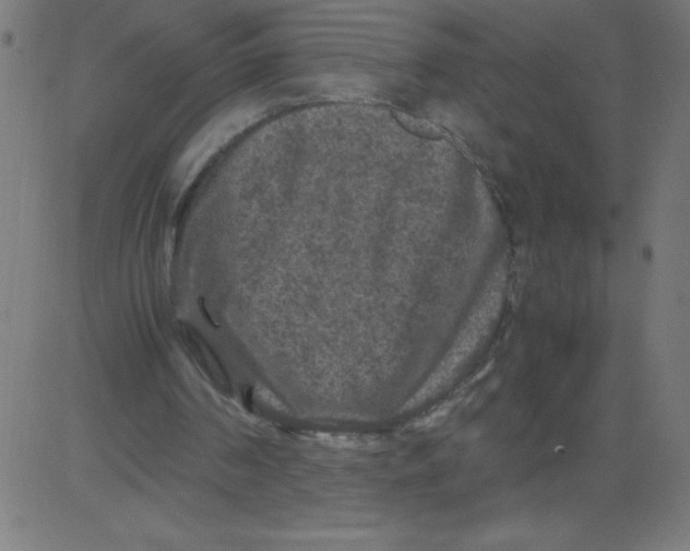 X0000081390194200702020304