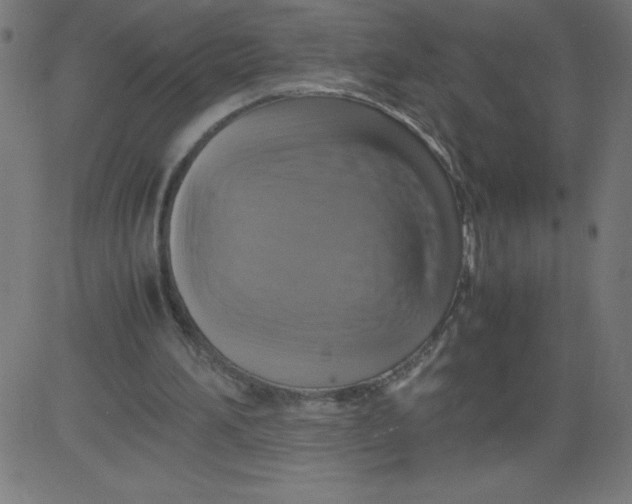 X0000081390196200702020304