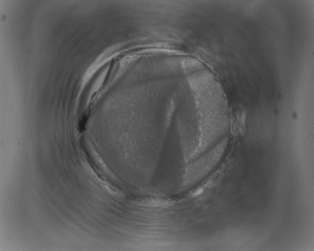 X0000081390198200702020304