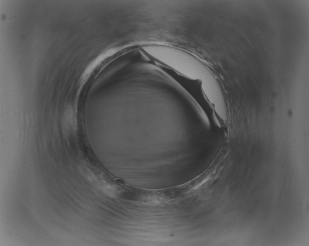 X0000081390200200702020304