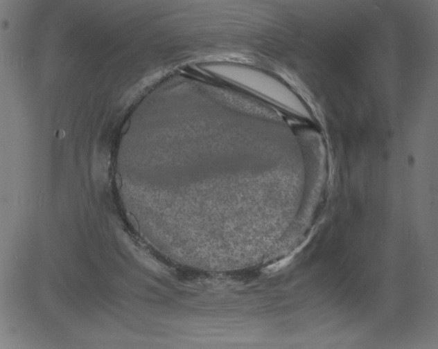 X0000081390201200702020304