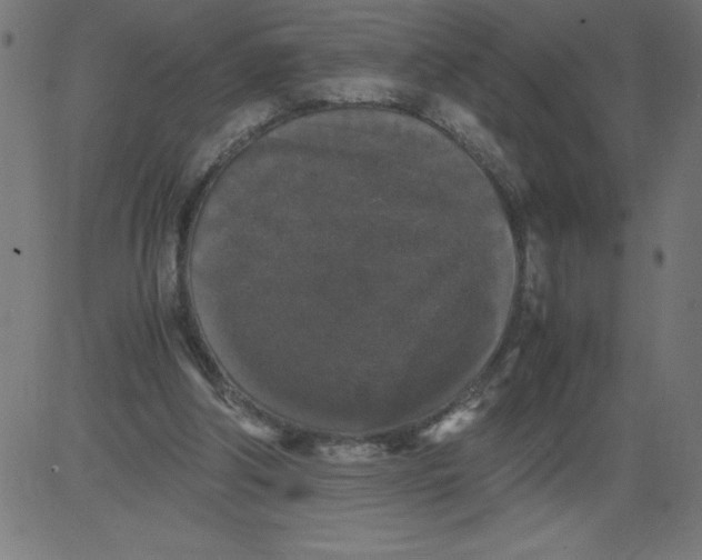 X0000081390202200702020304