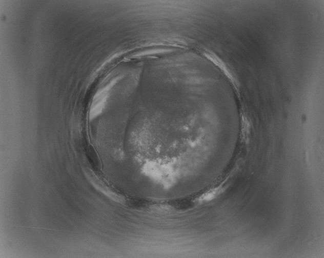 X0000081390203200702020304