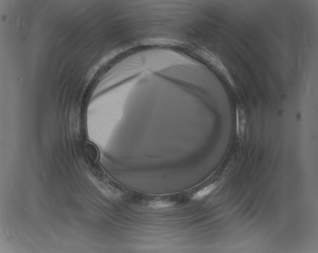 X0000081390204200702020304