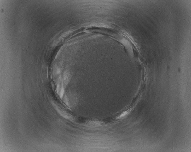 X0000081390205200702020304