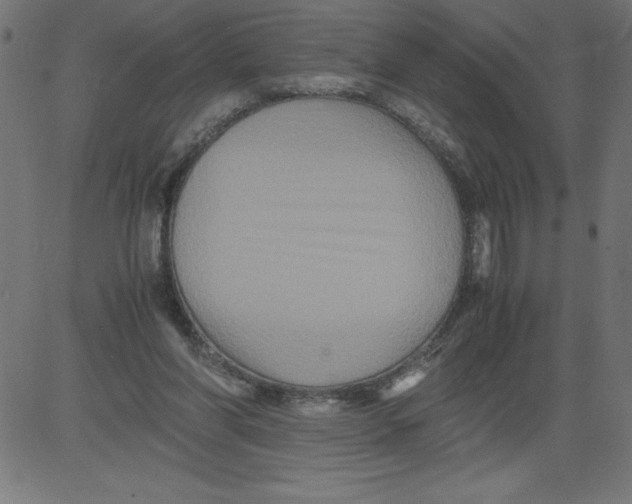 X0000081390206200702020304