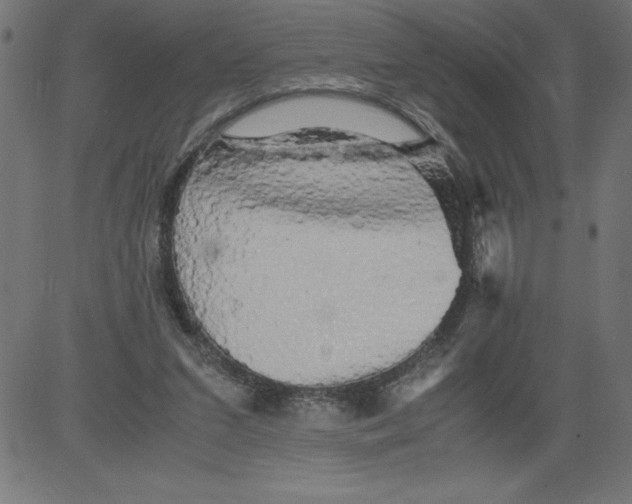 X0000081390207200702020304