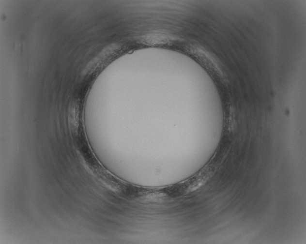 X0000081390210200702020303