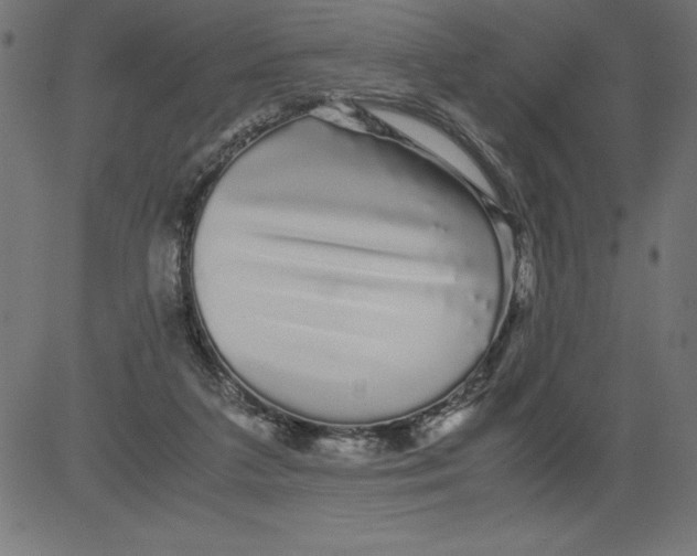 X0000081390211200702020303