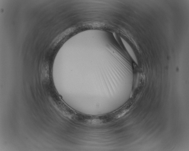 X0000081390212200702020303