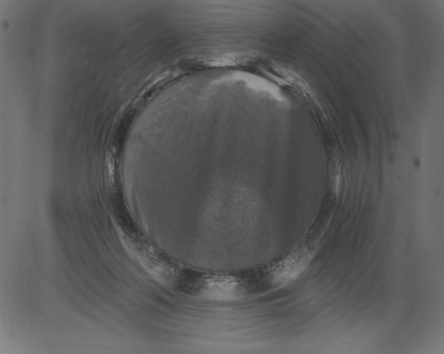 X0000081390214200702020303