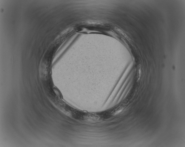 X0000081390215200702020303