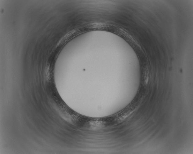 X0000081390216200702020303