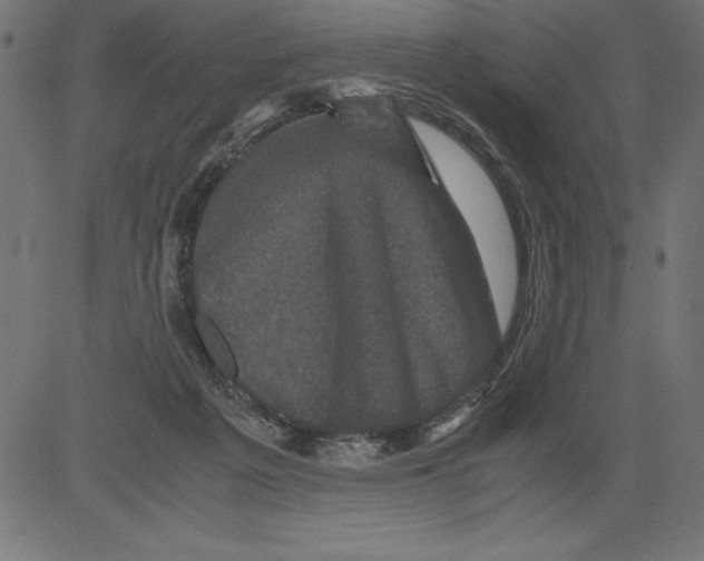 X0000081390217200702020303