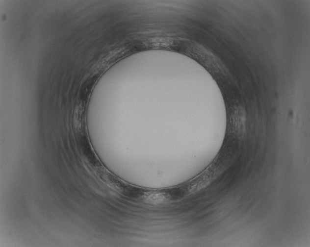 X0000081390218200702020303