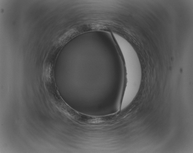 X0000081390219200702020303