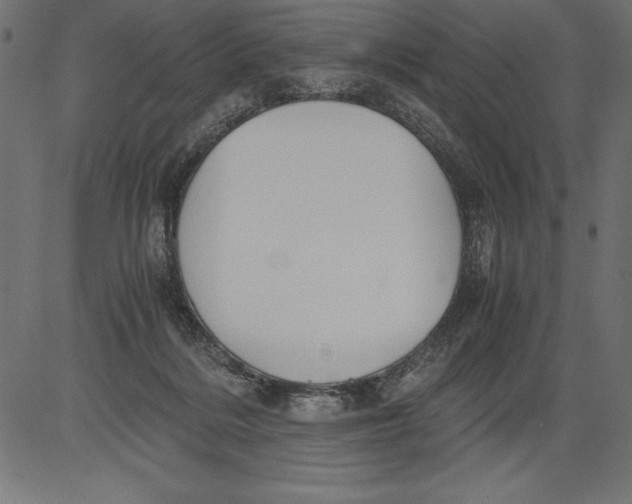 X0000081390220200702020303