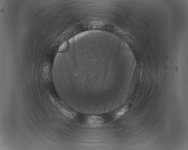 X0000081390222200702020303