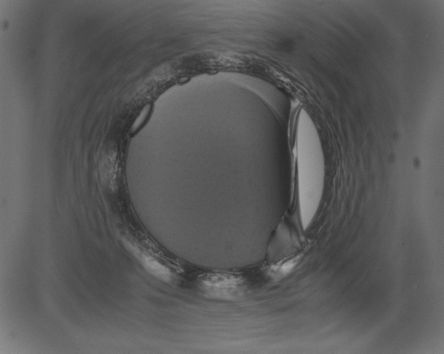 X0000081390223200702020303