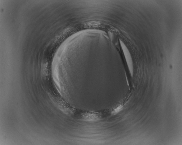 X0000081390224200702020303