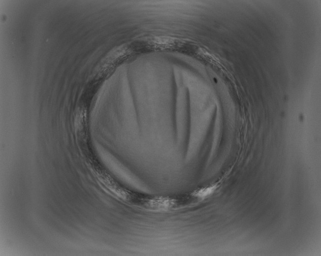 X0000081390225200702020303