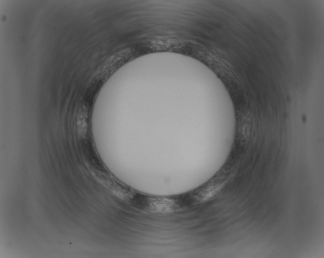 X0000081390226200702020303