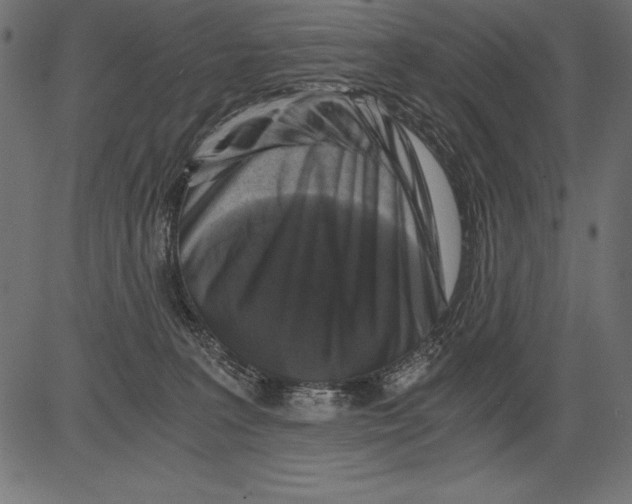 X0000081390227200702020303