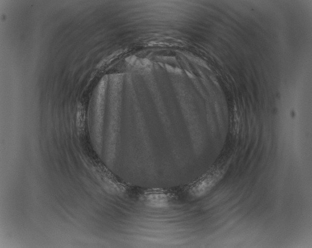 X0000081390228200702020303