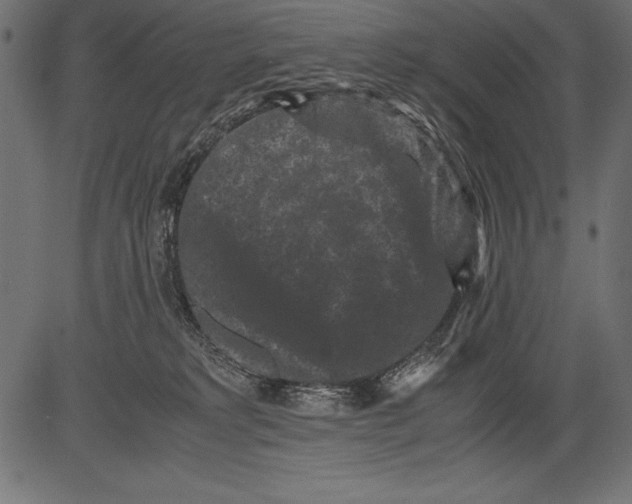 X0000081390229200702020303