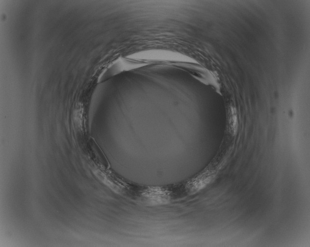 X0000081390231200702020303