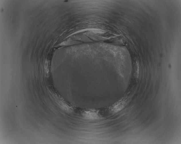 X0000081390232200702020303